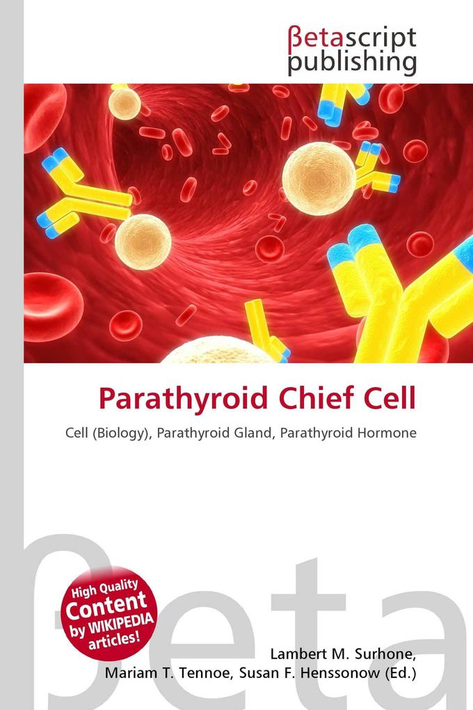 Parathyroid Chief Cell