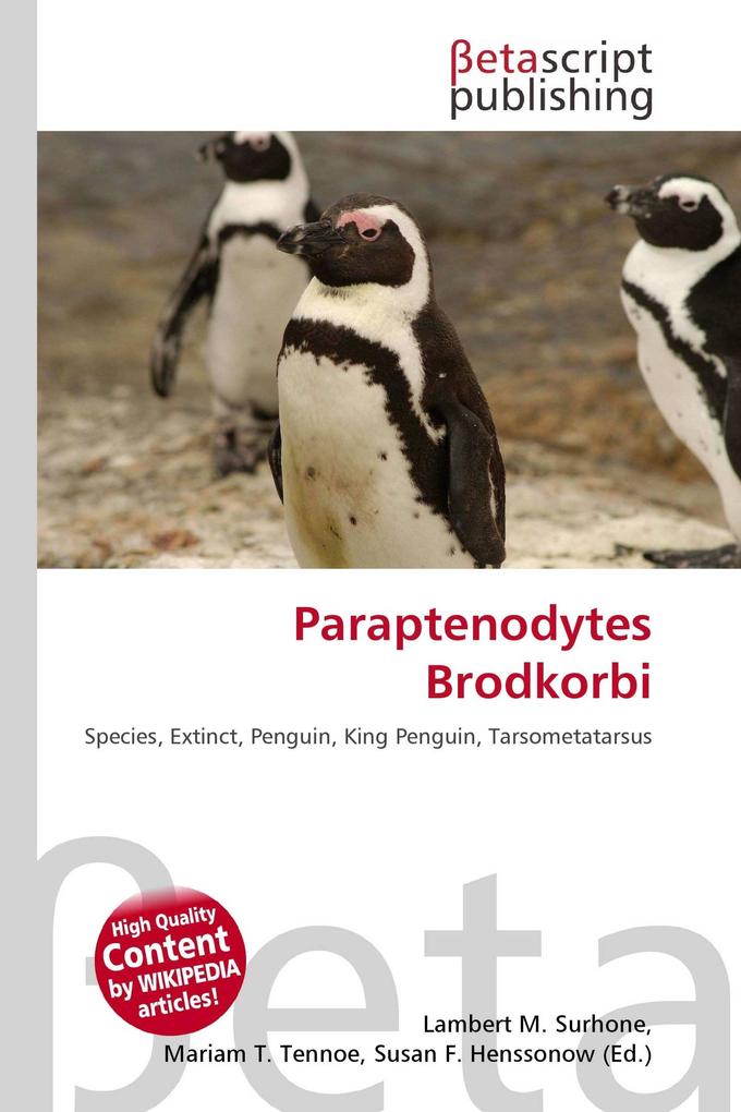 Paraptenodytes Brodkorbi