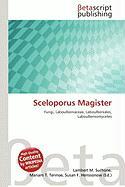 Sceloporus Magister