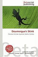 Doumergue's Skink