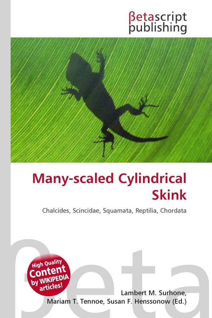 Many-scaled Cylindrical Skink