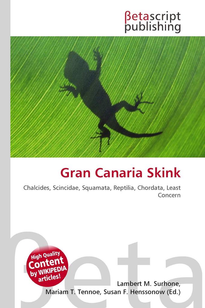 Gran Canaria Skink