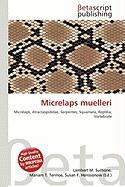 Micrelaps muelleri