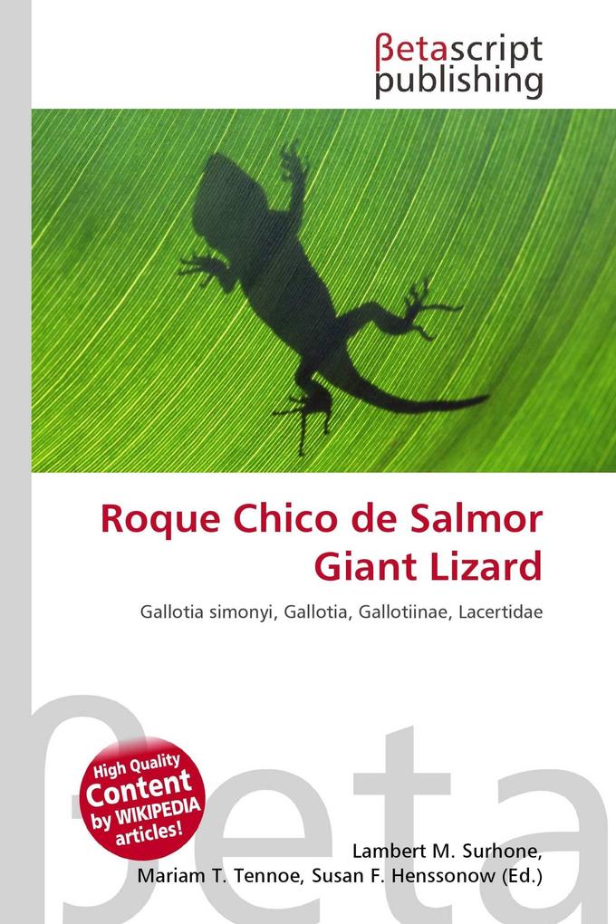 Roque Chico de Salmor Giant Lizard