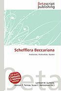 Schefflera Beccariana