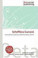 Schefflera Curranii