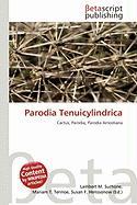 Parodia Tenuicylindrica