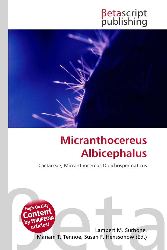 Micranthocereus Albicephalus
