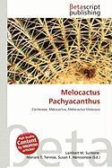 Melocactus Pachyacanthus