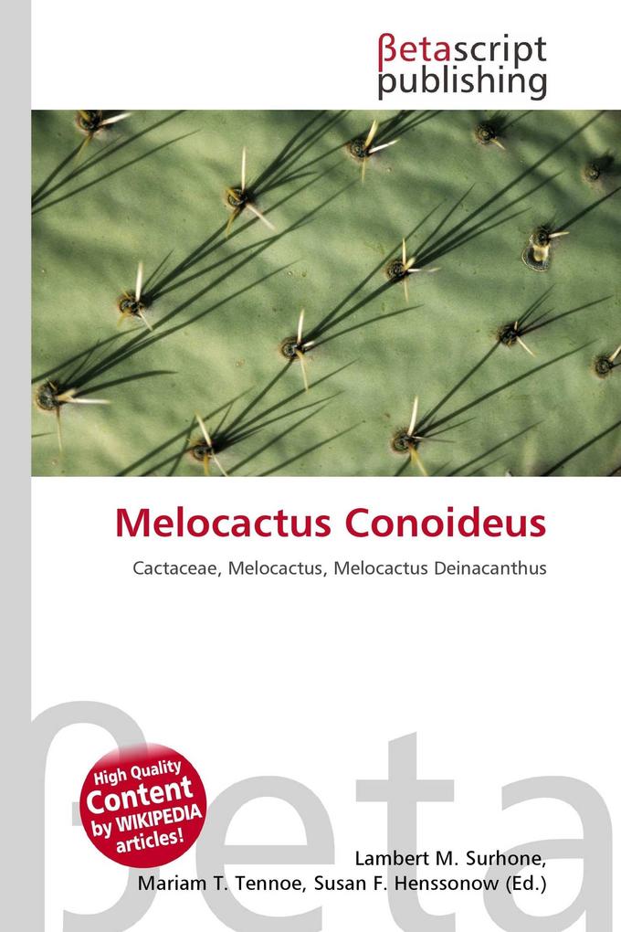 Melocactus Conoideus