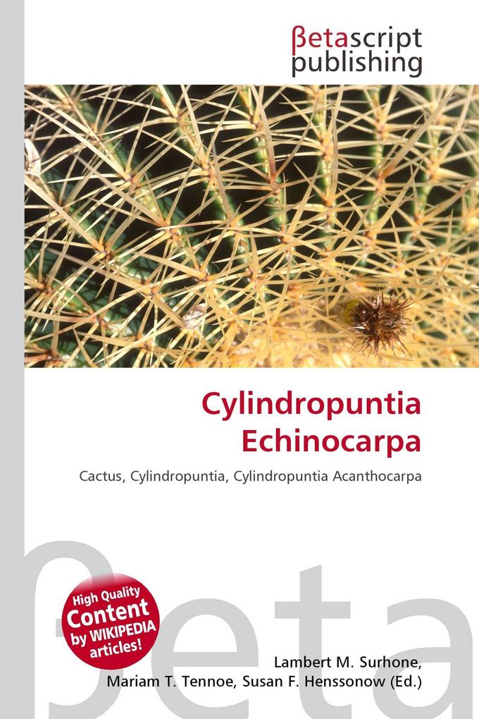 Cylindropuntia Echinocarpa