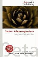 Sedum Albomarginatum