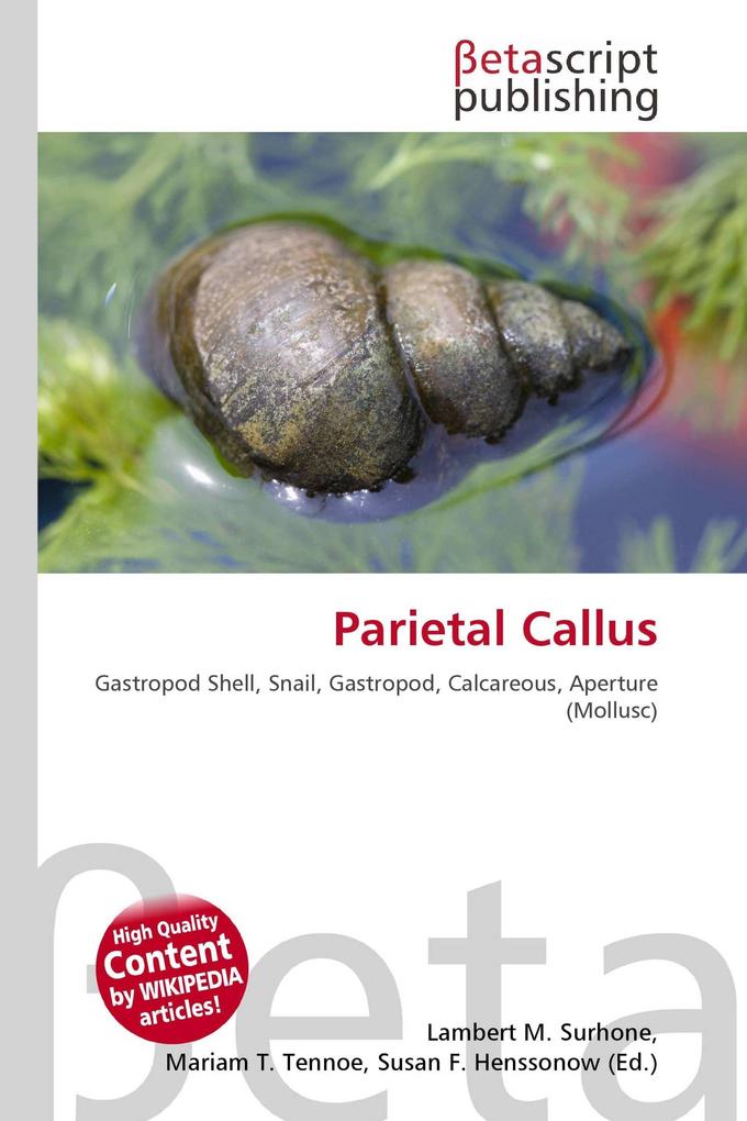 Parietal Callus