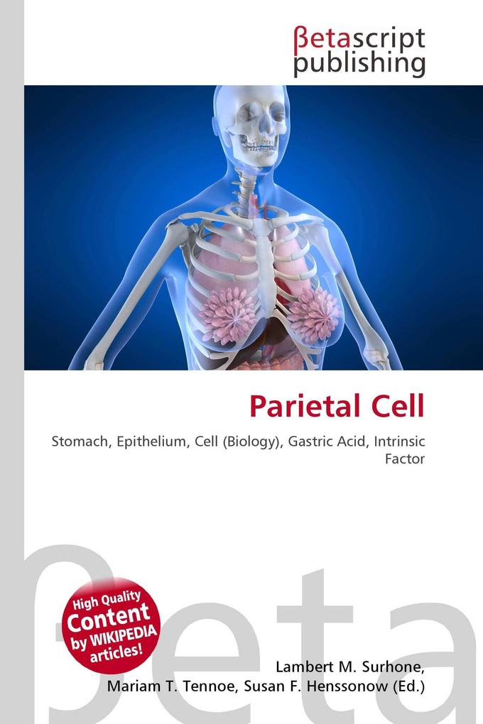 Parietal Cell