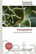 Pachypodium