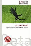 Ornate Skink
