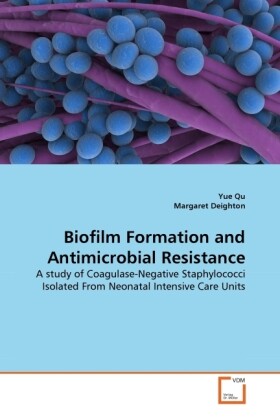 Biofilm Formation and Antimicrobial Resistance