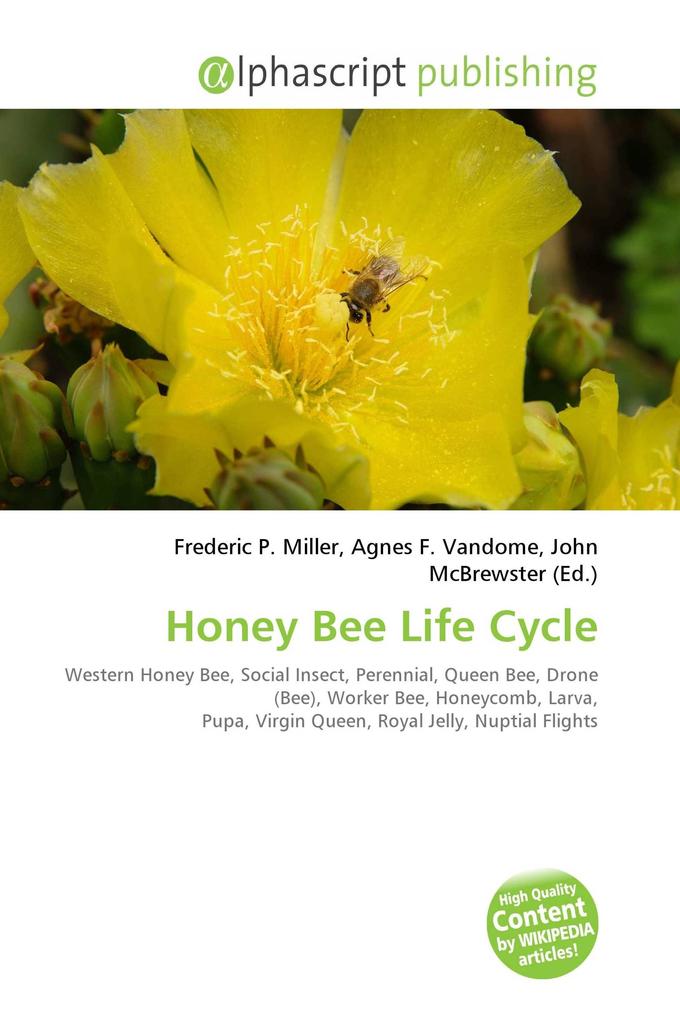 Honey Bee Life Cycle