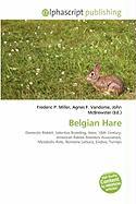 Belgian Hare