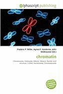 chromatin