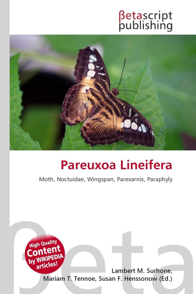 Pareuxoa Lineifera