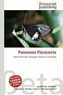 Pareuxoa Flavicosta