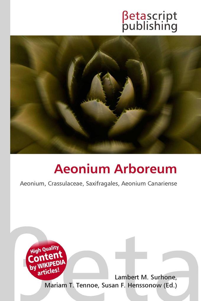 Aeonium Arboreum