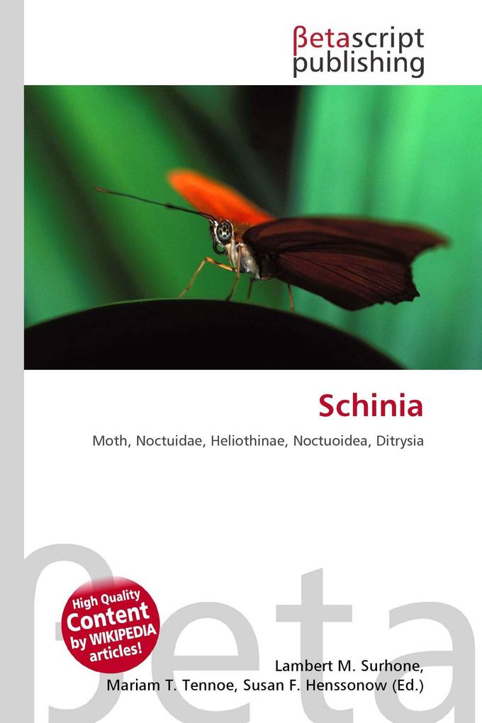 Schinia