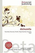 Alchemilla