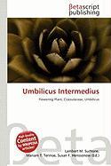 Umbilicus Intermedius
