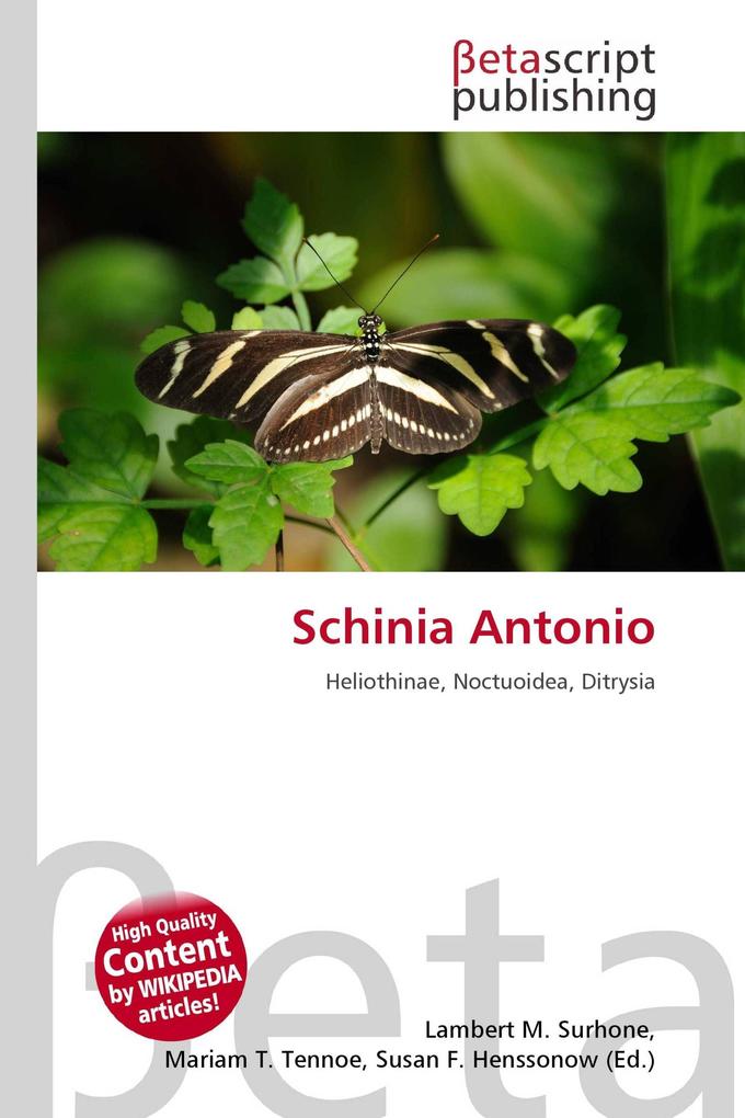 Schinia Antonio