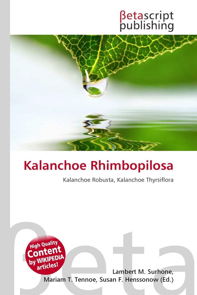 Kalanchoe Rhimbopilosa