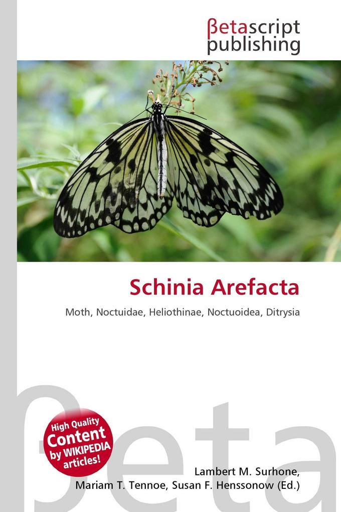 Schinia Arefacta