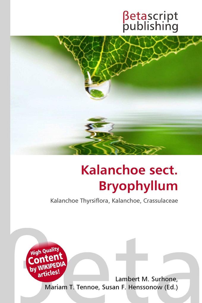 Kalanchoe sect. Bryophyllum