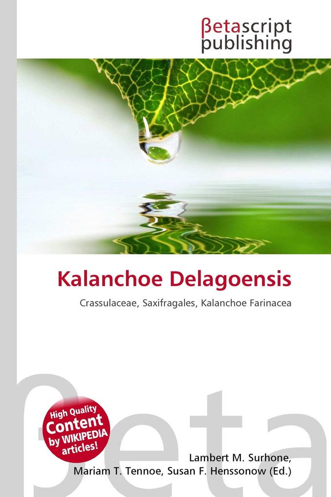 Kalanchoe Delagoensis