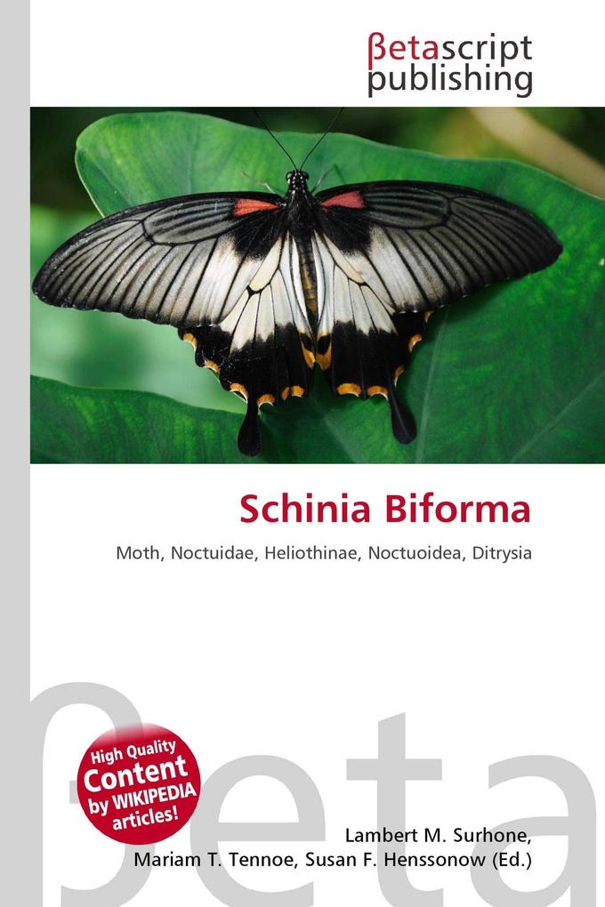 Schinia Biforma