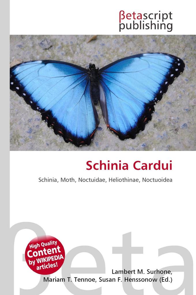 Schinia Cardui