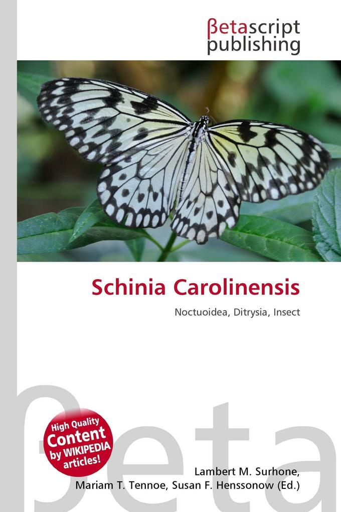 Schinia Carolinensis
