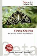 Schinia Chilensis