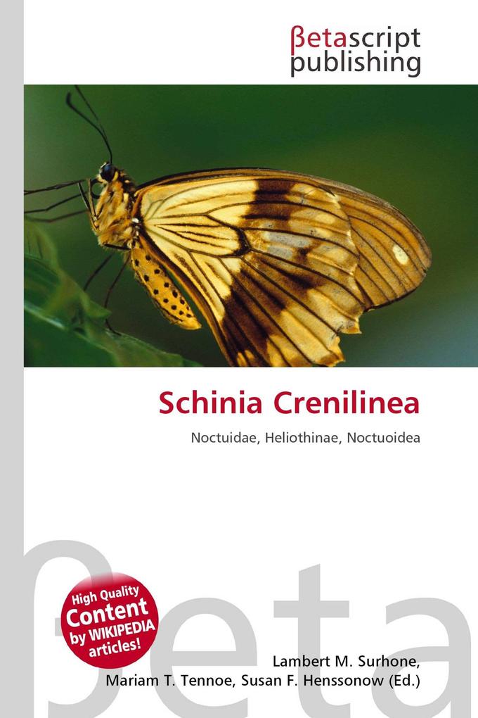 Schinia Crenilinea