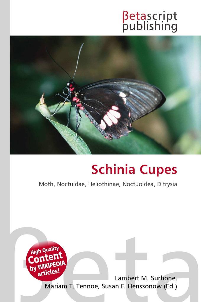 Schinia Cupes