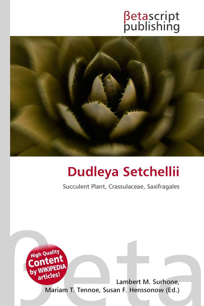 Dudleya Setchellii