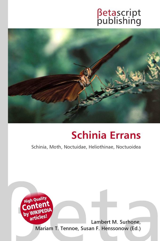 Schinia Errans