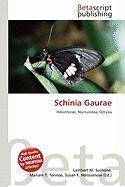 Schinia Gaurae