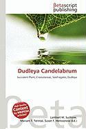 Dudleya Candelabrum