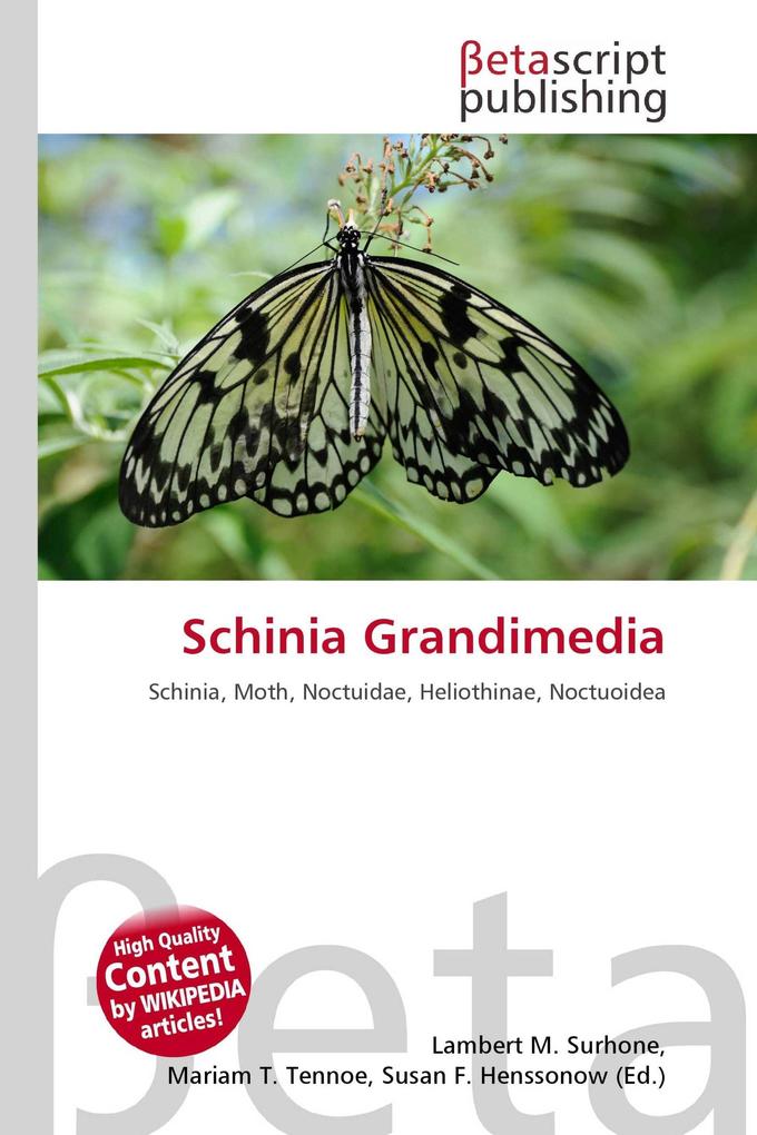 Schinia Grandimedia