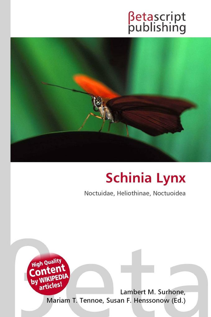 Schinia Lynx