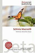 Schinia Macneilli