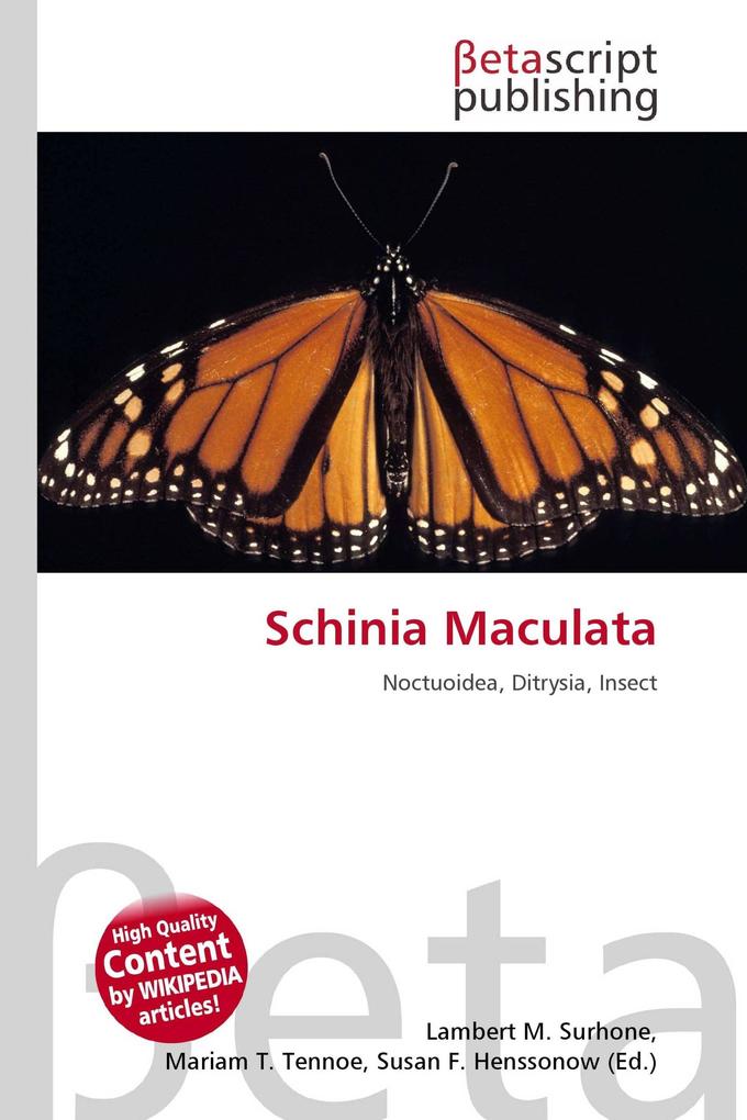 Schinia Maculata