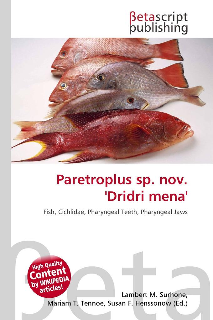 Paretroplus sp. nov. 'Dridri mena'